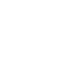Beauty and Cosmetics Beauty and Cosmetics