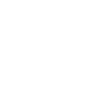 Sports and Fitness Sports and Fitness